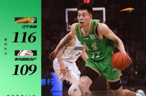 体育竞猜-CBA常规赛倒计时；辽宁本钢窗口期复出首秀；细节引发关注；球迷炸锅；年轻球员得到机会的简单介绍